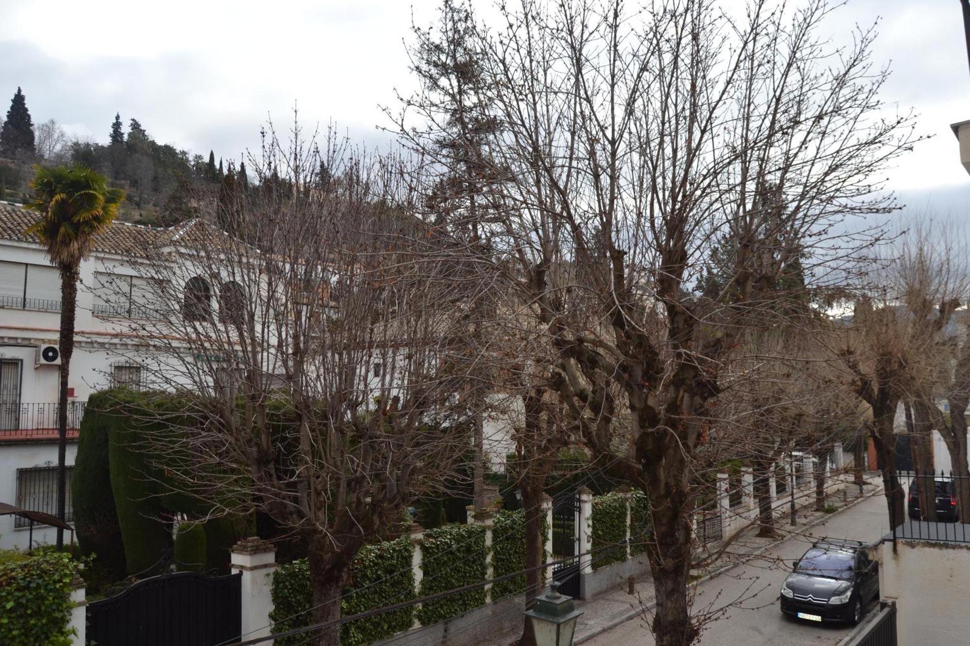Carmen Del Cadi Daire Granada Dış mekan fotoğraf