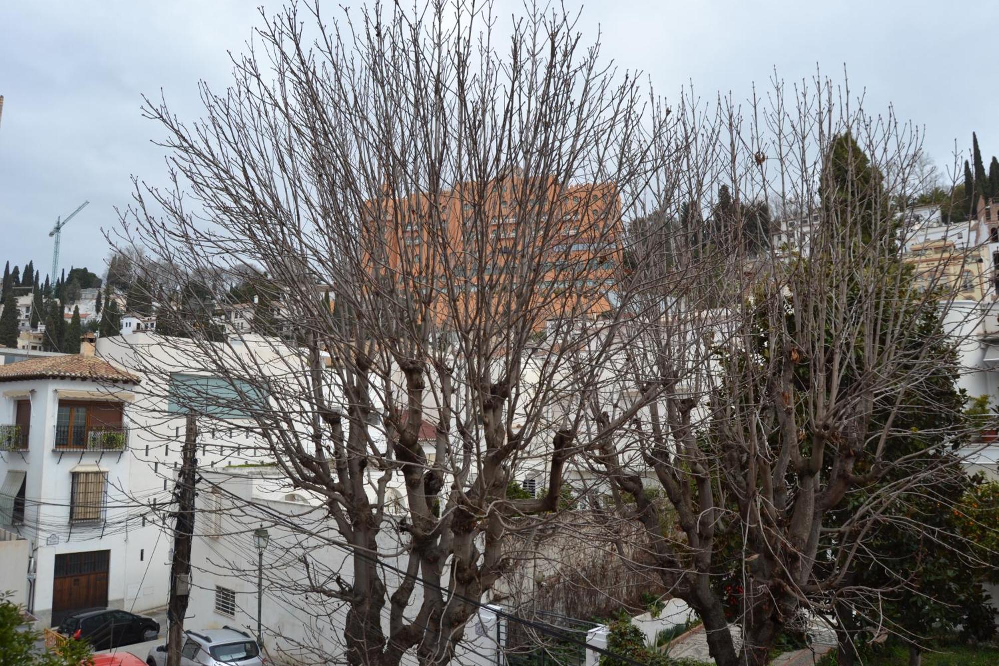 Carmen Del Cadi Daire Granada Dış mekan fotoğraf